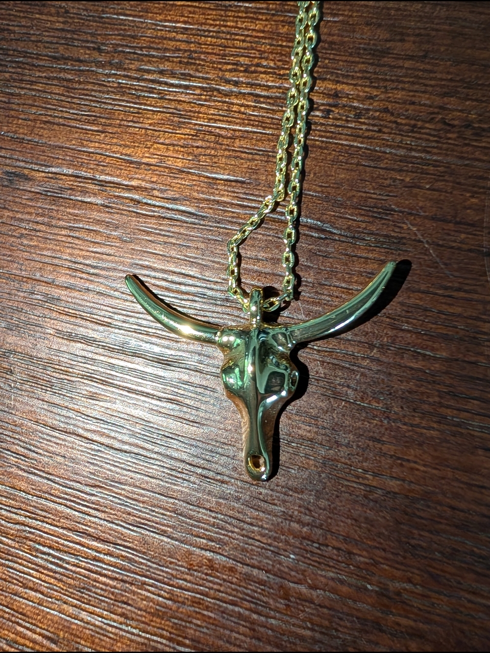 Gold Longhorn Pendant Necklace And Earrings Set- Women Jewelry - Picture 2 of 4